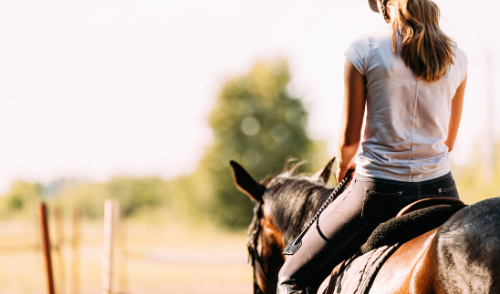 Hot Weather Horse Riding Tips