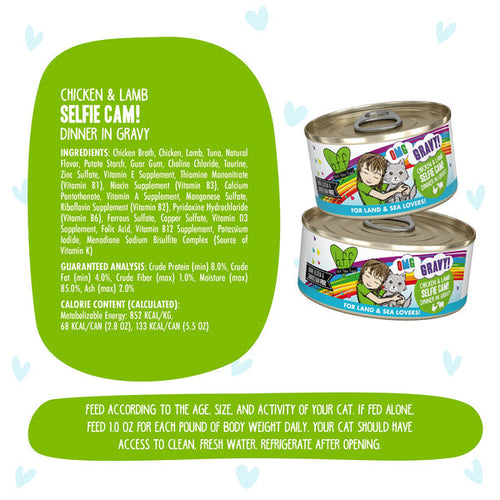 Weruva B.F.F. OMG GRAVY! Chicken & Lamb Selfie Cam Dinner in Gravy Wet Cat Food (2.8 Oz - 12pk)