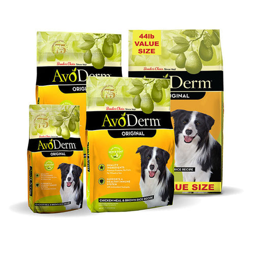 Avoderm natural skin and coat formula shampoo for dogs and cats best sale