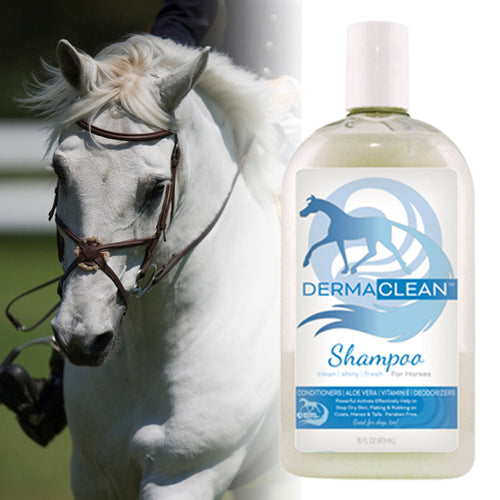 Healthy Hair Care Horse Shampoo Antibacterial Derma Clean for Coat, Mane & Tail (16 oz)