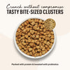 The Honest Kitchen Grain Free Chicken & Whitefish Clusters Dry Cat Food