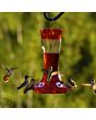 More Birds® Bird Health Natural Red Liquid Concentrate Hummingbird Nectar (32 oz - MB701)