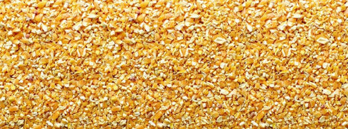 Bluebonnet Cracked Corn (50 lb)