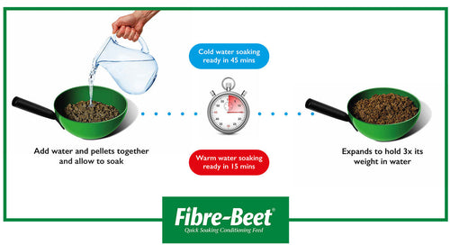 British Fibre-Beet Horse Feeds (20 kg)