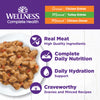 Wellness Complete Health Natural Grain Free Wet Cat Food Variety Pate Recipes Chicken & Turkey Lovers