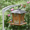 Perky-Pet® Sun And Star Lantern Wild Bird Feeder